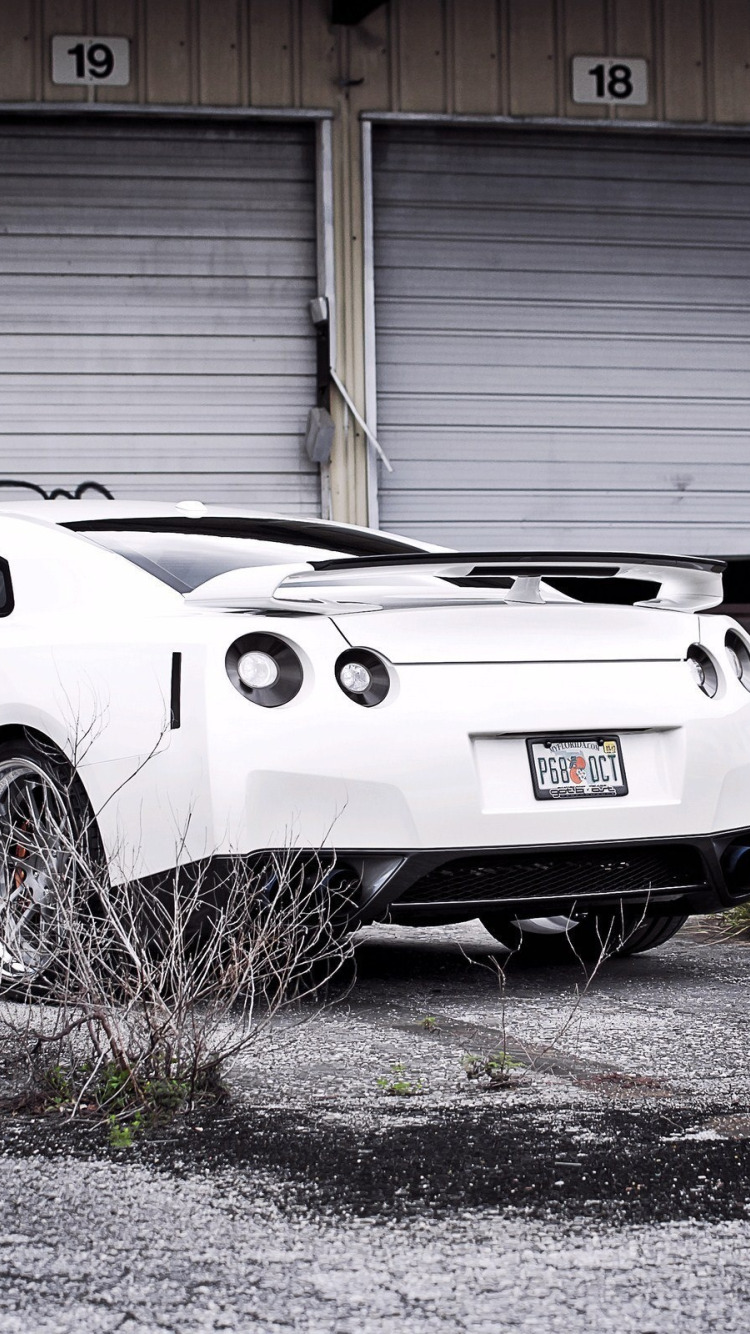 white, thickets, composition, Nissan, gtr, abandoned