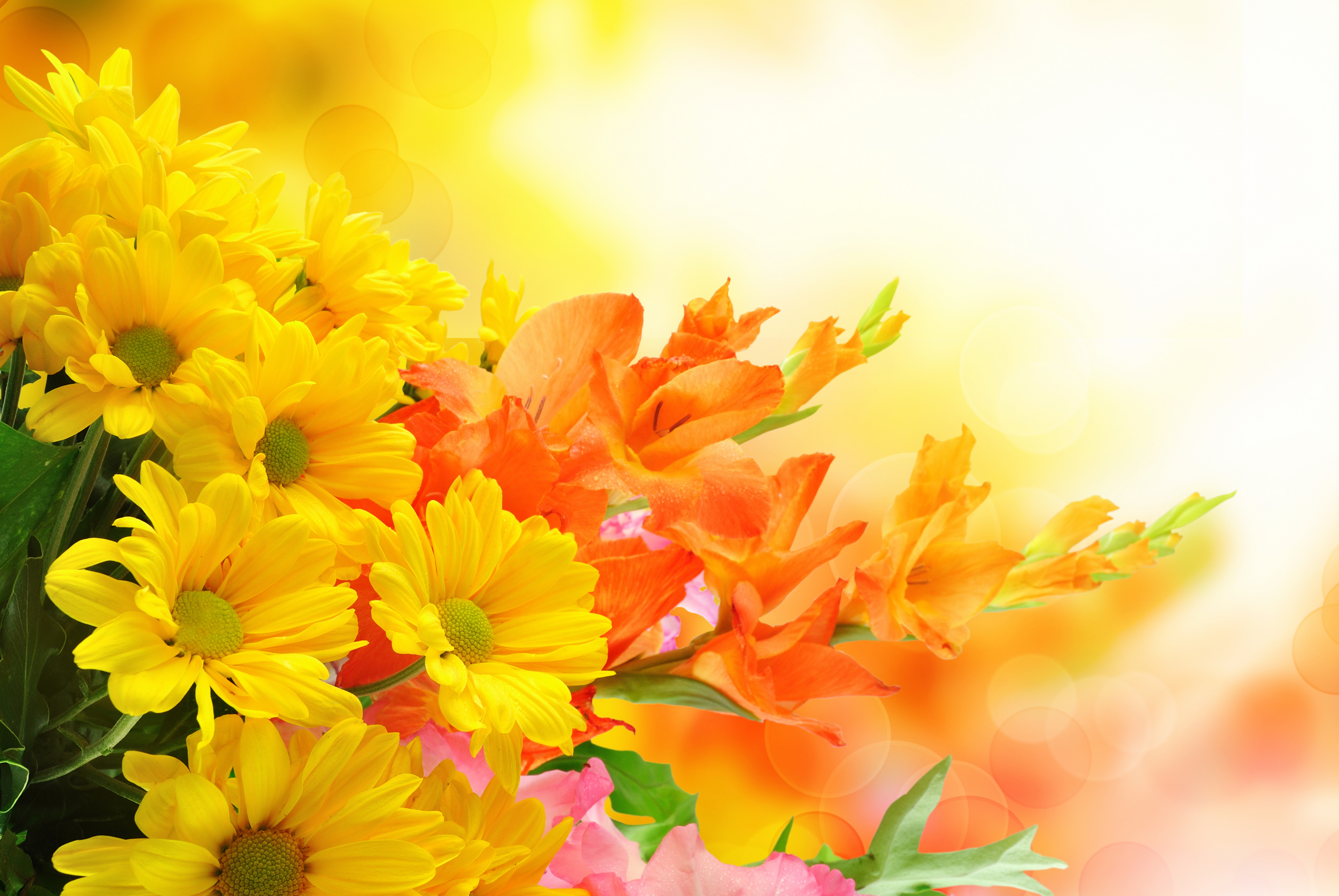 Поздравляю с праздником открытка красивая. Цветочный фон. Цветы на желтом фоне. Праздничные цветы. Фон с цветами для открытки с днем рождения.