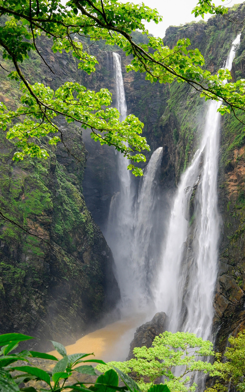 Download wallpaper forest, trees, mountains, rocks, India, waterfalls ...