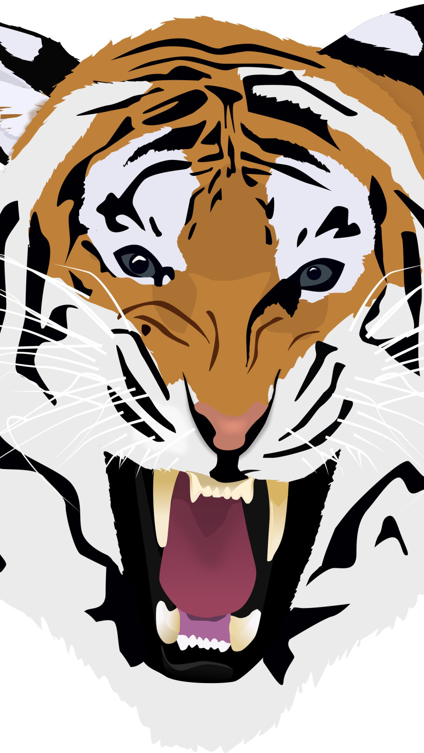 Download Wallpaper Tiger, White Background, Head, Fangs, Face.