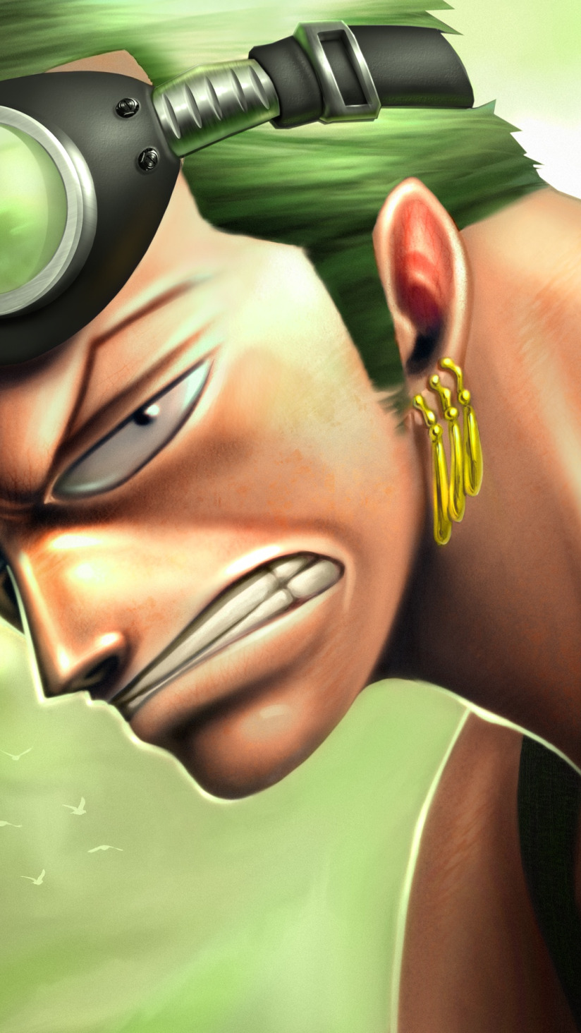 Download wallpaper glasses, guy, anime, one piece, Zoro, Pirate Hunter,  section anime in resolution 824x1464