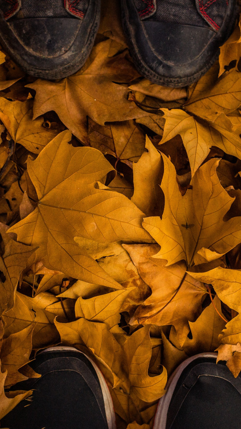 Download wallpaper autumn, leaves, fall, feet, section miscellanea in  resolution 824x1464