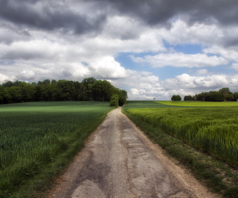 Field roads. Сельская дорога. Летняя дорога. Поле с дорогой. Проселочная дорога.