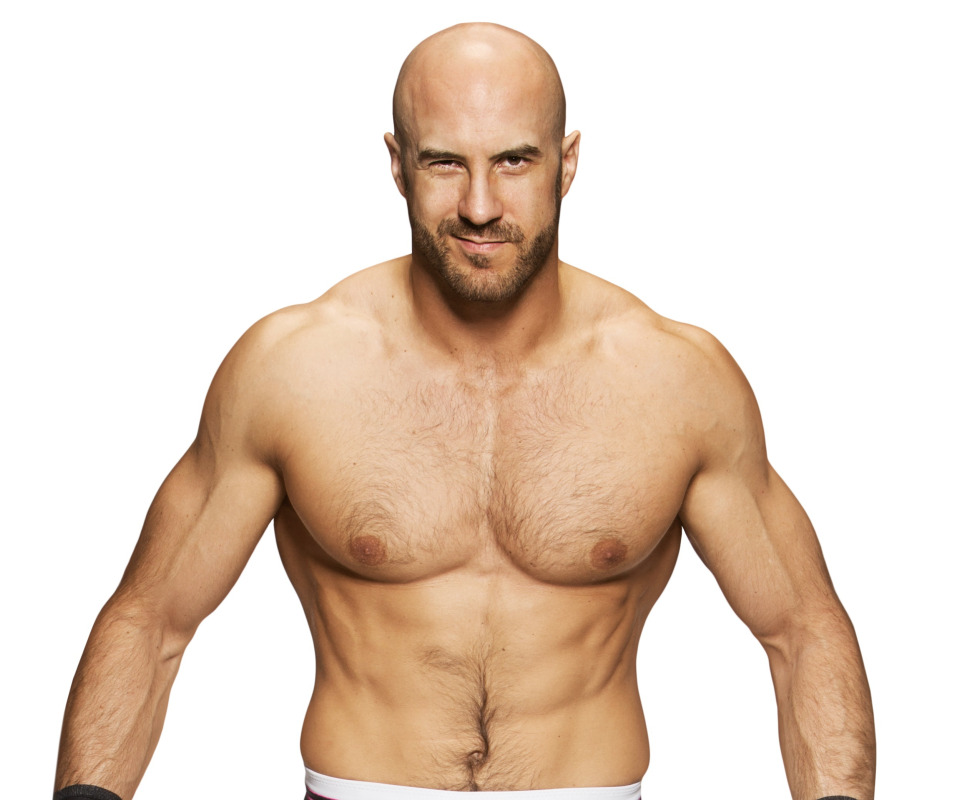 Download Wallpaper Look, Muscle, Muscle, Wrestler, WWE, Raw.