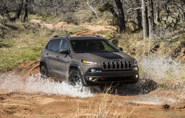 Large, jeep, SUV, Jeep, 2013, Cherokee, Trailhawk