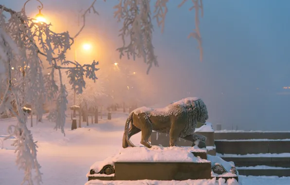 Picture winter, snow, branches, the city, Leo, the evening, Peter, lighting