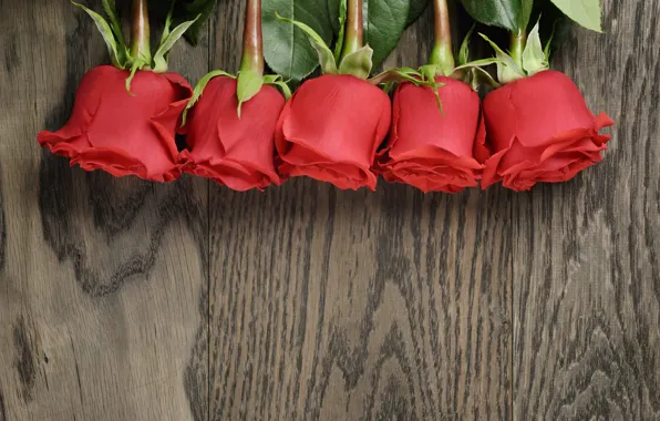 Bouquet, red, wood, romantic, roses, red roses