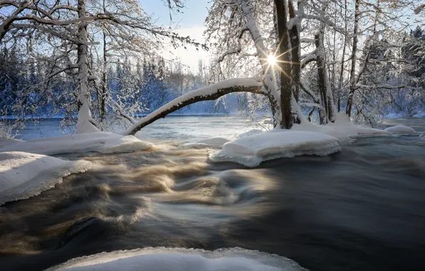 Winter, snow, trees, river, Finland, Finland, Kuusaankoski River, Kuusaankoski River