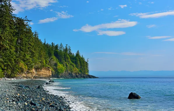 Sea, the sky, trees, stones, rocks, shore