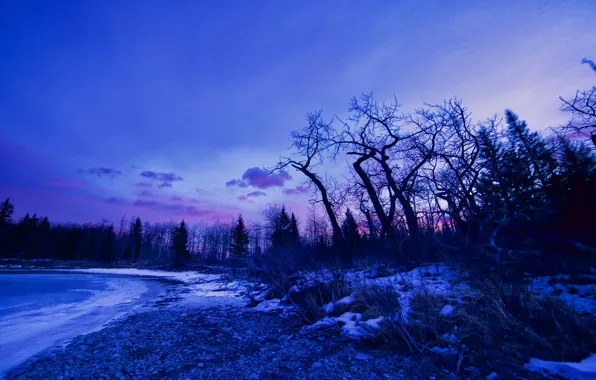 Winter, snow, trees, lake, dawn, glow