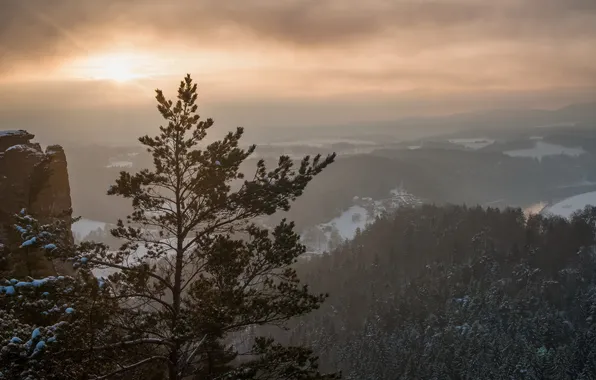 Trees, landscape, sunset, mountains