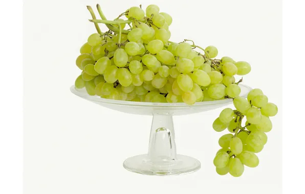 Picture grapes, bunch, vase