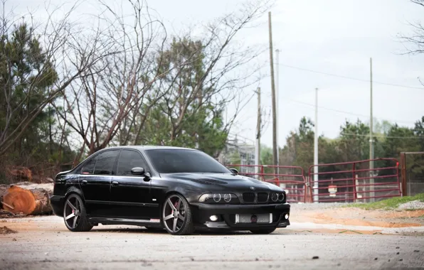 Black, E39, Wheels, Trees, M5