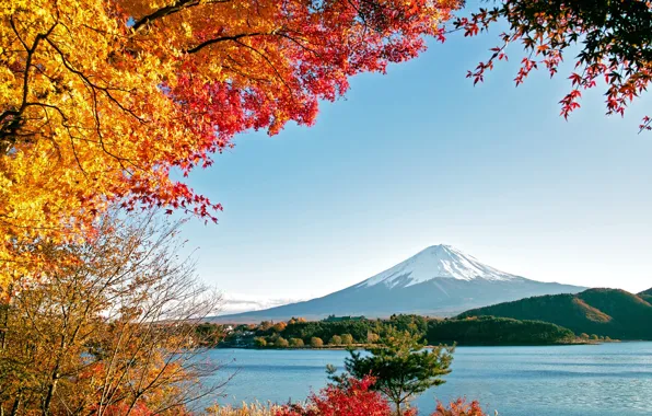 Picture sea, autumn, water, trees, mountains, nature, lake, Fuji