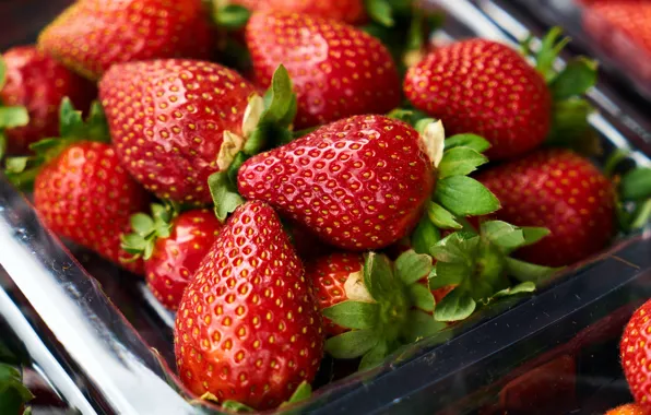 Picture macro, berries, Victoria, strawberry, container, tray