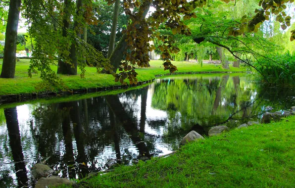Picture park, lake, pond