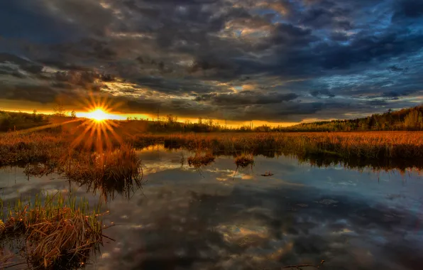 The sun, sunset, swamp