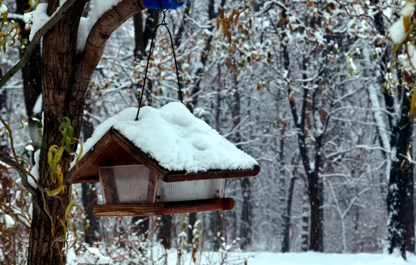 Autumn, snow, trees, Park, feeder, late