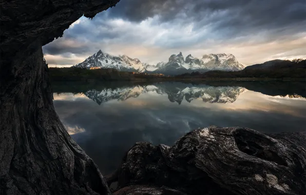 Mountains, lake, reflection, tree, shore, view, trunk, pond