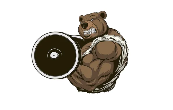 Picture bear, mouth, fangs, muscle, rod