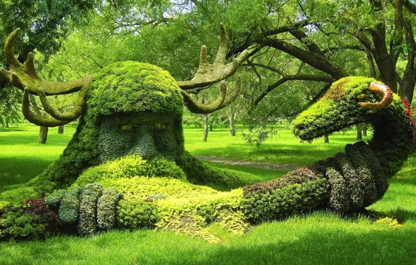 Picture trees, Park, snake, Canada, horns, Montreal, Canada, composition