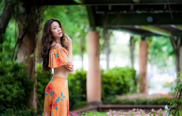 Look, girl, pose, sweetheart, brown hair, Asian, bokeh