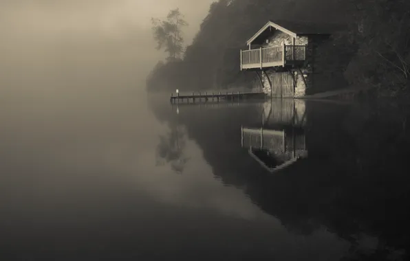 Nature, fog, reflection, river, the darkness, boat