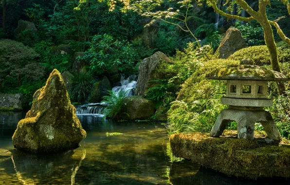 Picture greens, trees, branches, pond, stream, stones, waterfall, moss
