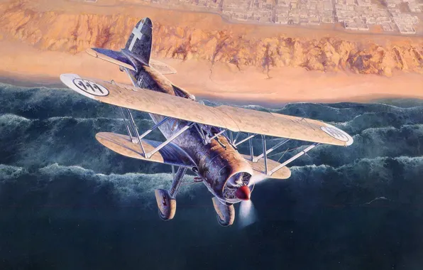 Picture aviation, Fiat Falco, Shigeo Koike