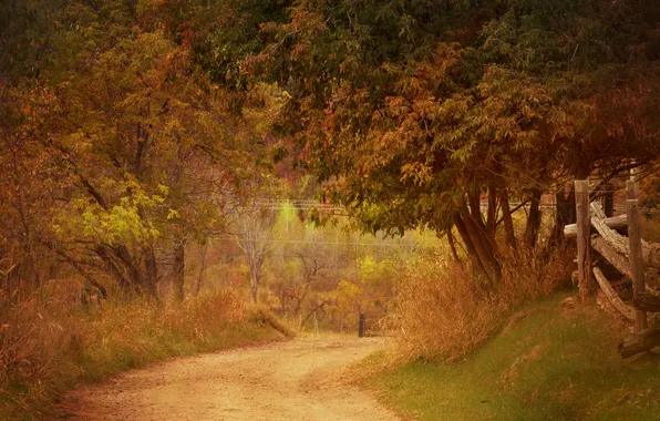 Picture road, autumn, grass, trees, the fence, farm