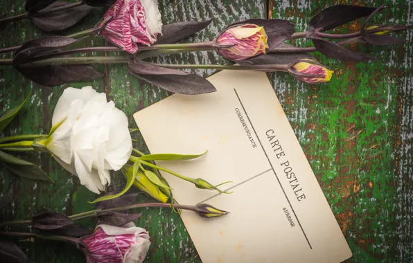 Flowers, bouquet, Bud, postcard, eustoma