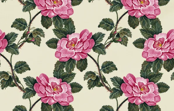 Picture flowers, background, texture, vintage, flowers, background, roses