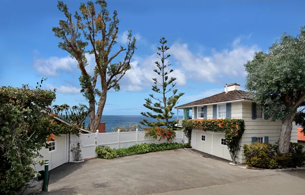 Sea, the sun, clouds, trees, the fence, view, home, garden