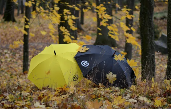 Autumn, leaves, Park, umbrellas