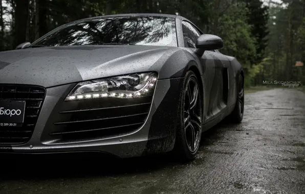 Car, machine, auto, forest, fog, rain, Audi, audi