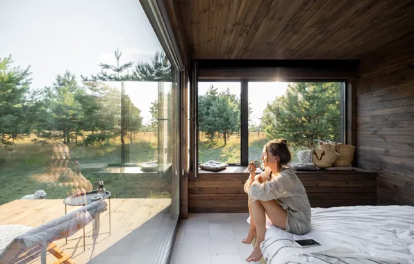 Nature, Girl, Dawn, Nature, Pine forest, Country house, Panoramic windows, Pine forest