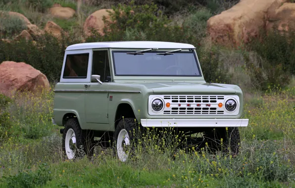 Ford, 2018, Bronco, weeds, ICON Old School BR