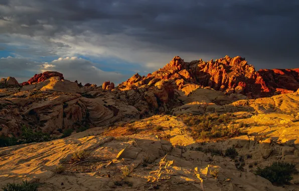 Picture light, mountains, rocks, tops, relief