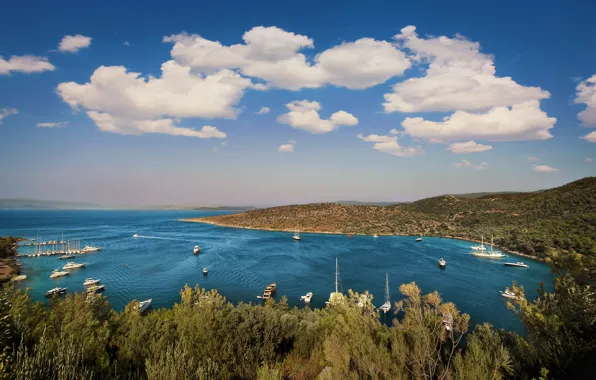 Picture sea, clouds, trees, mountains, blue, shore, coast, boat