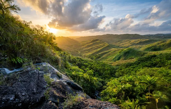 Picture forest, the sky, the sun, clouds, trees, landscape, sunset, mountains