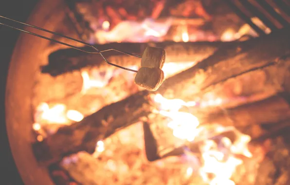 Fire, the fire, fire, wood, marshmallows, flames, outdoors, camping