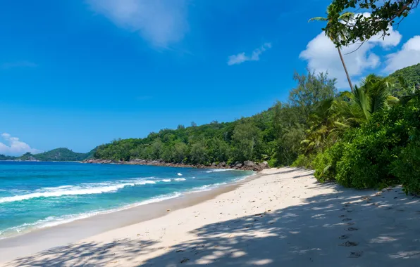Picture sand, sea, beach, the sky, the sun, clouds, trees, tropics