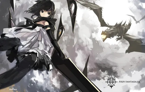 Picture the sky, girl, clouds, weapons, dragons, sword, art, swd3e2