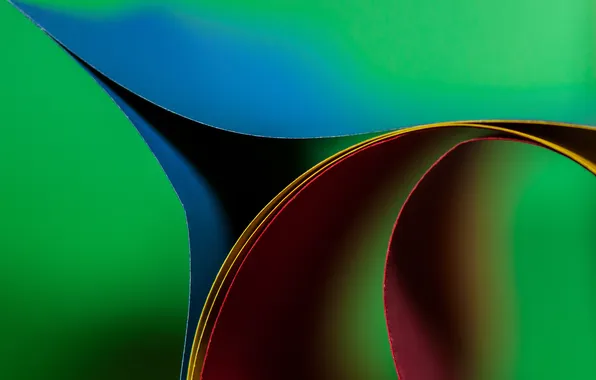 Leaves, paper, color, curves