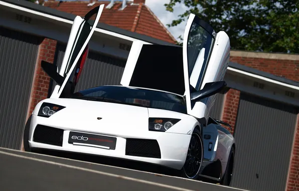 White, the sky, trees, the building, white, lamborghini, sky, trees