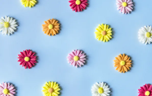 Flowers, background, blue, colorful, blue, flowers