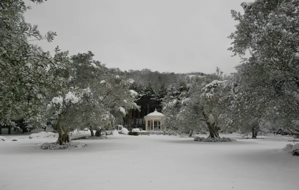 Winter, snow, Park, Trees, rotunda