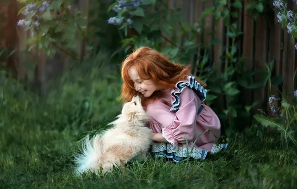 GRASS, GIRL, JOY, DOG, The FENCE, SUNDRESS, RED, FRECKLES