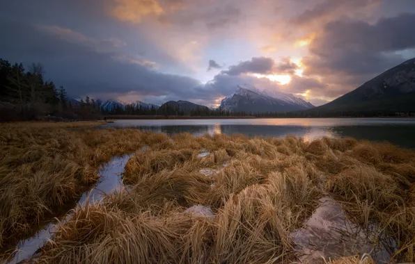 Autumn, forest, the sky, grass, clouds, sunset, mountains, lake