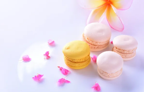Flower, sweets, Petals, cakes, plumeria, Cakes, Pasta